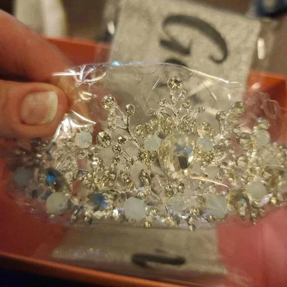 Funstitution Silver Crown and Earring Clip On Kit With Sash